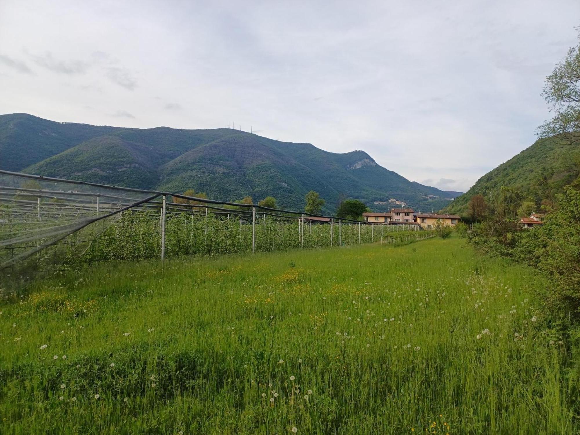 Апартаменты Cascina Legnago Bilocale A 6 Chilometri Da Salo' Villanuova sul clisi Экстерьер фото